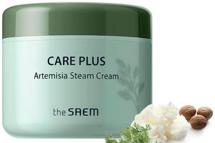 Крем для лица Care Plus Artemisia Steam Cream, 100мл The Saem