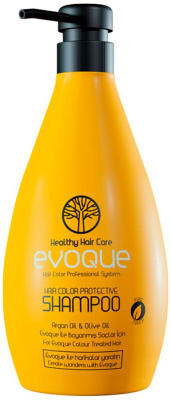Шампунь для окрашенных волос Hair Color Care Purification, 380мл Evoque